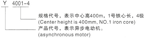 西安泰富西玛Y系列(H355-1000)高压YE2-180M-2三相异步电机型号说明