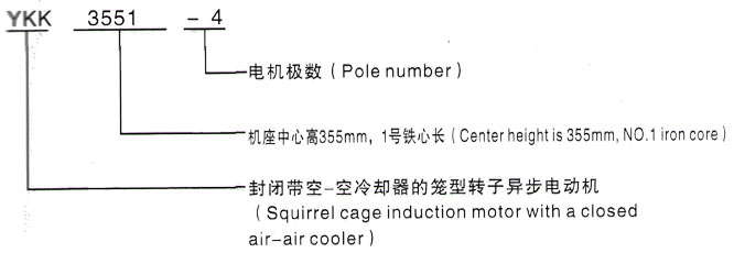 YKK系列(H355-1000)高压YE2-180M-2三相异步电机西安泰富西玛电机型号说明