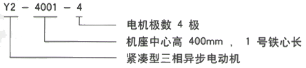 YR系列(H355-1000)高压YE2-180M-2三相异步电机西安西玛电机型号说明